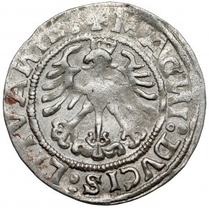 Zygmunt I Stary, Półgrosz Wilno 1519 - błąd MONEA SIGISMVND