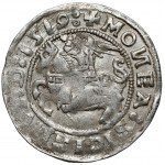 Zygmunt I Stary, Półgrosz Wilno 1519 - błąd MONEA SIGISMVND