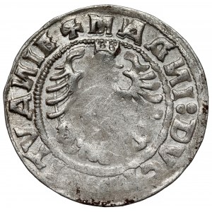 Zygmunt I Stary, Półgrosz Wilno 1519 - błąd MONEA