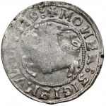 Zygmunt I Stary, Półgrosz Wilno 1519 - błąd MONEA