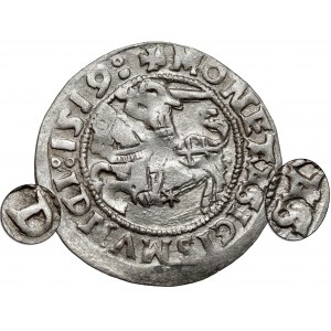 Zygmunt I Stary, Półgrosz Wilno 1519 - odwrócone 'D'