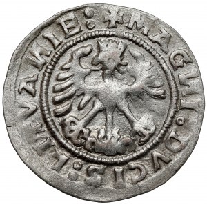 Zygmunt I Stary, Półgrosz Wilno 1519 - odwrócone 'D'