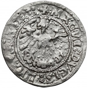 Zygmunt I Stary, Półgrosz Wilno 1519 -