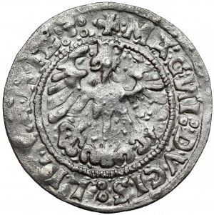 Sigismund I the Old, Vilnius 1519 half-penny - with spectacular ERRORS