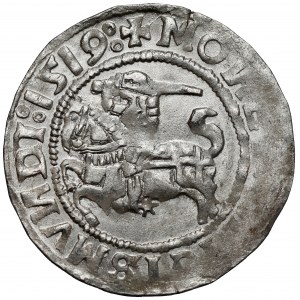 Zygmunt I Stary, Półgrosz Wilno 1519 - litery 'N' odwrócone