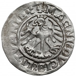 Zygmunt I Stary, Półgrosz Wilno 1519 - litery 'N' odwrócone