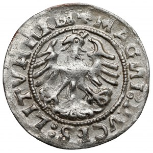 Zygmunt I Stary, Półgrosz Wilno 1519