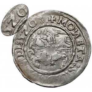 Zygmunt I Stary, Półgrosz Wilno 1520 - skrócona data 520