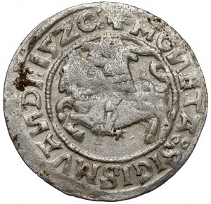 Sigismund I the Old, Half-penny Vilnius 1520 - SIGISMVANDI error