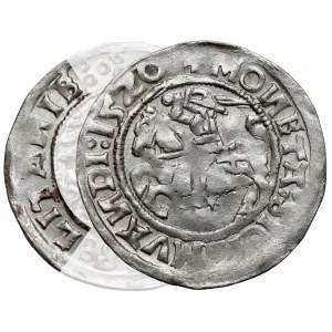 Zygmunt I Stary, Półgrosz Wilno 1520 - błąd LITANIE