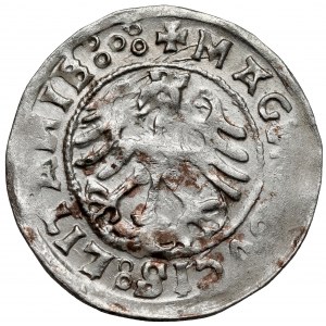 Zygmunt I Stary, Półgrosz Wilno 1520 - błąd LITANIE