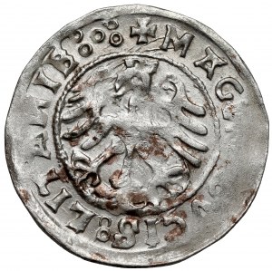 Sigismund I the Old, Half-penny Vilnius 1520 - mistake LITANIA