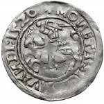 Zygmunt I Stary, Półgrosz Wilno 1520 - błąd LITANIE