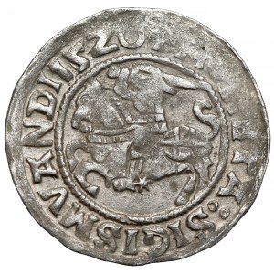 Zygmunt I Stary, Półgrosz Wilno 1520 - błąd SIGISMVANDI