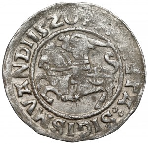 Sigismond Ier le Vieux, Półgrosz Wilno 1520 - SANS ponctuation avant la date