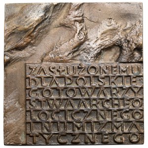 Medal, Zasłużonemu dla Polskiego Towarzystwa Archeologicznego i Numizmatycznego