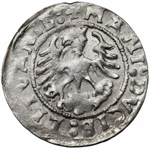 Sigismund I the Old, Half-penny Vilnius 1521 - MANI error