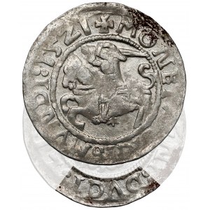 Zygmunt I Stary, Półgrosz Wilno 1521 - DVCI