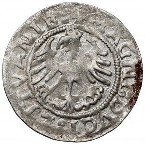 Sigismund I the Old, Half-penny Vilnius 1521 - DVCI - rarity