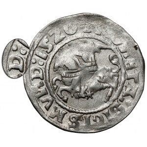 Zygmunt I Stary, Półgrosz Wilno 1520 - SIGISMVND