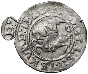 Sigismund I the Old, Half-penny Vilnius 1520 - SIGISMVND
