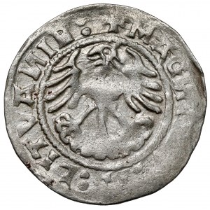 Zygmunt I Stary, Półgrosz Wilno 1520 - SIGISMVND