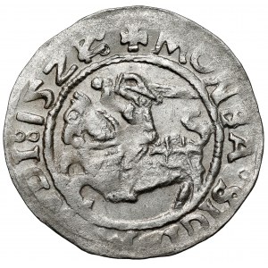 Zygmunt I Stary, Półgrosz Wilno 1521/22 - błąd MONEA