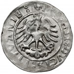 Zygmunt I Stary, Półgrosz Wilno 1521/22 - błąd MONEA