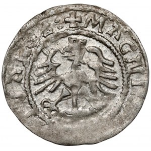 Zygmunt I Stary, Półgrosz Wilno 1524