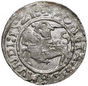 Sigismund I the Old, Half-grosz Vilnius 1521