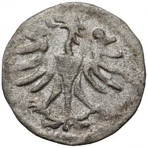Alexander Jagiellonian, Vilnius Denarius - Gothic A