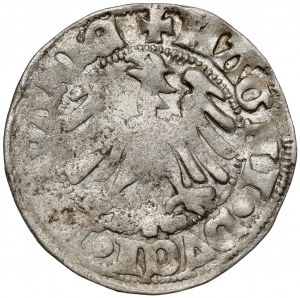 Alexander Jagiellonian, Vilnius half-penny - MONE - très rare