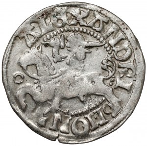Alexander Jagiellonian, Vilnius half-penny - circle around LITVAN