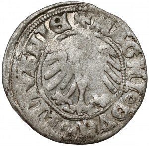 Alexander Jagiellonian, Vilnius half-penny - ALEXAND