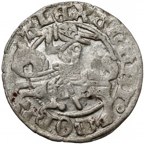 Alexander Jagiellonian, Vilnius half-penny - Gothic/Renaissance