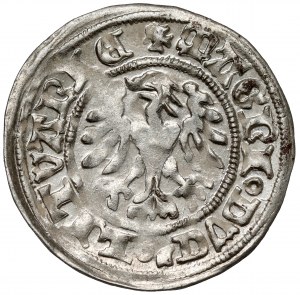 Alexandre Jagellon, demi-penny de Vilnius - Gothique - double cercle