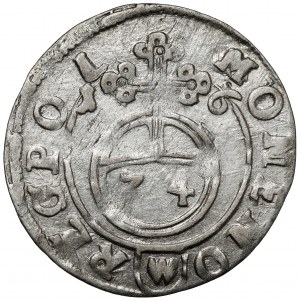 Sigismond III Vasa, demi-piste Bydgoszcz 1616 - Awdaniec