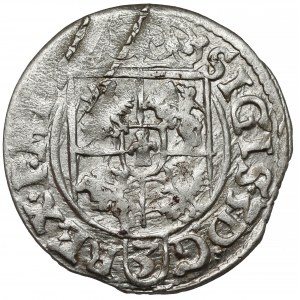 Zygmunt III Waza, Półtorak Bydgoszcz 1619 - odwrócone N