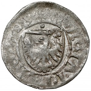 Kazimierz IV Jagiellończyk, Szeląg Toruń