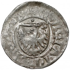 Casimir IV Jagiellonian, Szeląg Toruń