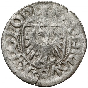 Casimir IV Jagiellonian, Szeląg Gdansk - ex. Kalkowski