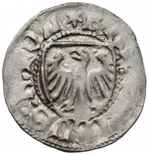 Casimir IV Jagiellonian, Szeląg Gdansk - aigle sans couronne