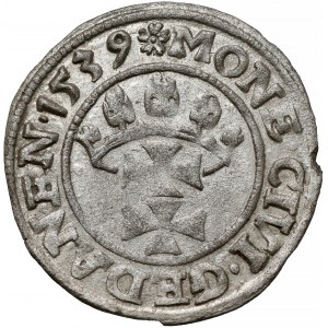 Zygmunt I Stary, Szeląg Gdańsk 1539