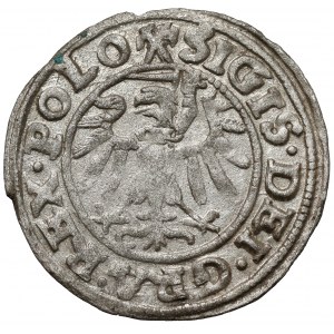 Zygmunt I Stary, Szeląg Gdańsk 1539