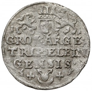 Gustaw II Adolf, Trojak Elbląg 1631