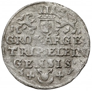 Gustav II Adolf, Trojak Elbląg 1631 - heart - nice