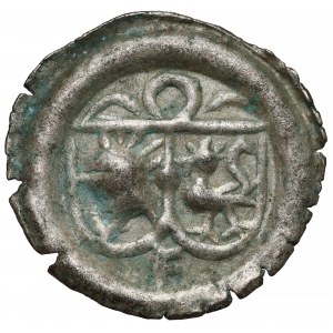 Brandenburgia, Joachim I (1499-1535) Hohlpfennig, Frankfurt