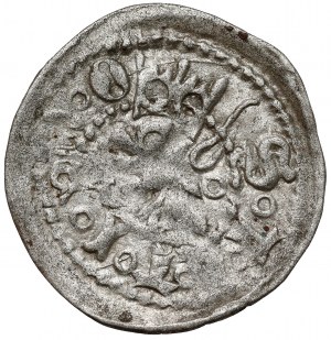 Poméranie, Szczecin, quart XV-XVIe s. - cercles/étoiles