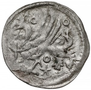 Poméranie, Szczecin, quart XV-XVIe s. - cercles/étoiles