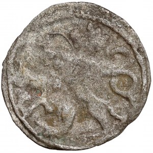 Czechy, Glatz, Halerz (1501-1534)